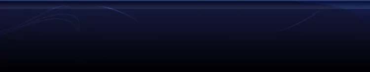 background category section